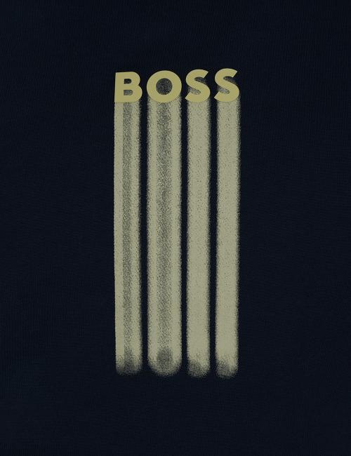 ds